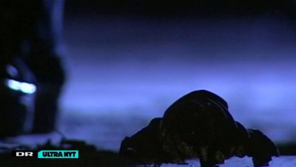 Færre har haft indbrud i 2014 - ULTRA NYT | DR