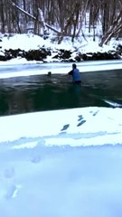 Homem enfrenta rio congelado nos EUA para salvar cão perdido