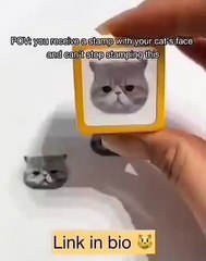 🐾✨ Welcome to the ultimate feline paradise! In this adorable video, we're