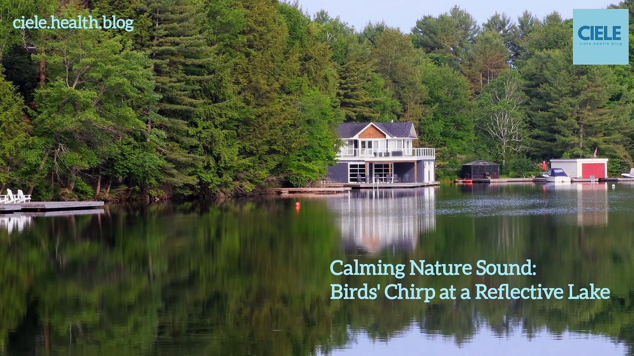Calming Nature Sound: Birds' Chirp at a Reflective Lake