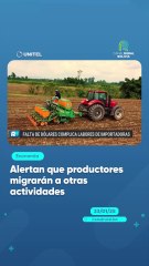 Alertan que productores migrarán a otras actividades