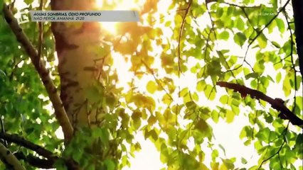 AINDA UM MISTÉRIO  T01E01 - INVESTIGAÇÃO DISCOVERY