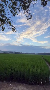 good morning today the weather so good!