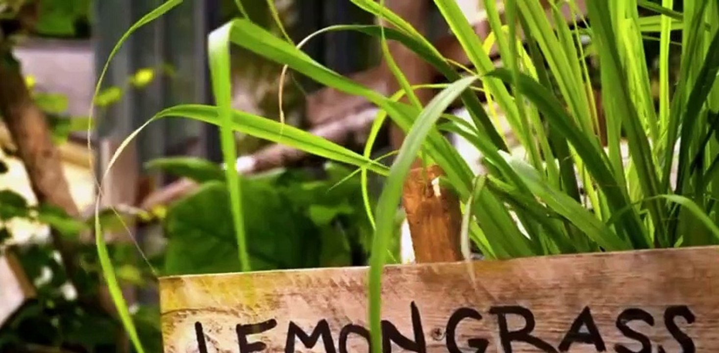 Outer Banks S04 Ep 1