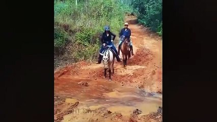 TRY NOT TO LAUGH 🤣🤣 Best Funny Videos compilation - Fail And Pranks 😂 P16