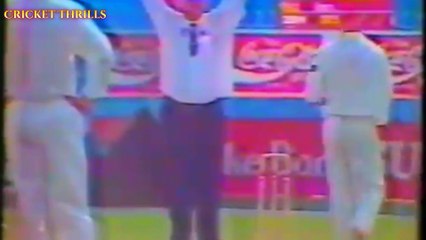 Wasim Akram 12 Sixes in an innings