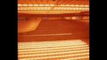 Double ended twin tubes infrared heating lamps 1133mm 400v 6000w shortwave infrared heaters