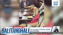 Pusang naki-sit-in sa klase, focus lang sa paglalaro sa cellphone | Balitanghali
