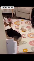 Take care of you very well, this afternoon give me another bowl of rice 👍👍👍