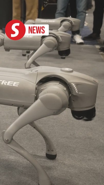 Asia stands out at CES 2025 with robots, AR and flying cars