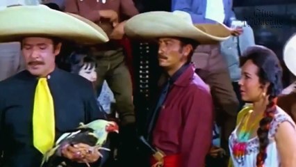 Pelicula Caballo Prieto Azabache 1968