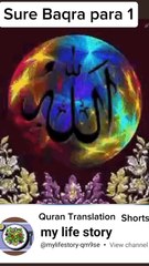 Holy quran translation