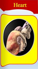 Heart health l ajay grammar techniques