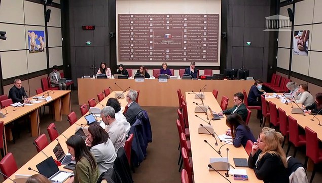 Manquements des politiques publiques de protection de l’enfance : M. Adrien Taquet, ancien secrétaire d’État chargé de l’enfance et des familles ; Mmes Francine Chopard et Laura Lehmann (HCTS) - Mardi 21 janvier 2025