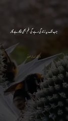 Dr Israr Ahmad byan on hard ships of life #islamicshort#quotes#drisrarahmad#motivationalshorts#quran