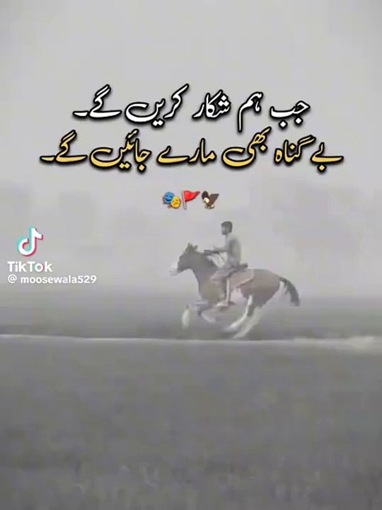 1000017072