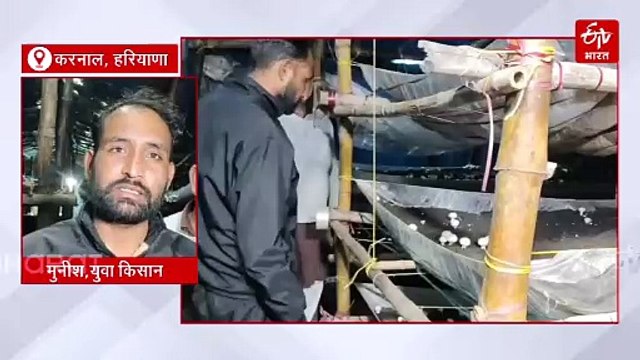 करनाल के मुनीश कर रहे मशरूम की खेती, हो रहा लाखों का मुनाफा, 4 साल पहले 12/24 के कमरे से की थी शुरुआत