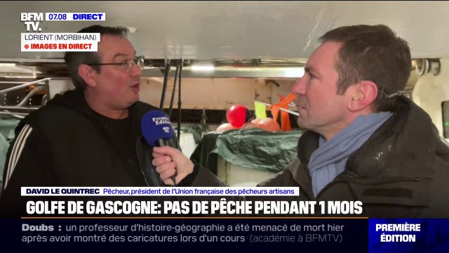 Pour protéger les dauphins, la pêche est suspendue dans le golfe de Gascogne durant un mois, créant la colère de certains professionnels