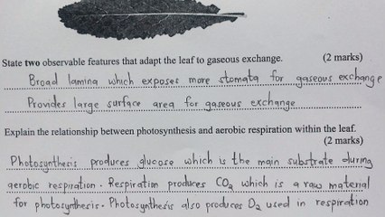 KCSE 2019 Biology paper 1 questions and answers  #revision #essays #biology #KCSE #passexams