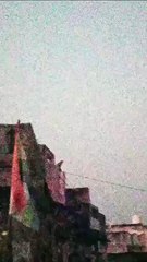 सलूंबर में मकान की छत पर चढ़ा लेपर्ड मची अफरा तफरी