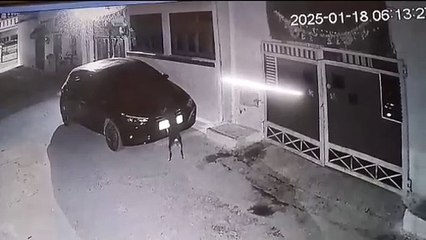 23376242 स्ट्रीट डॉग का बदला - कार से लगी टक्कर, तो घर में घुसकर पूरी कार में कर दिए स्क्रैच।