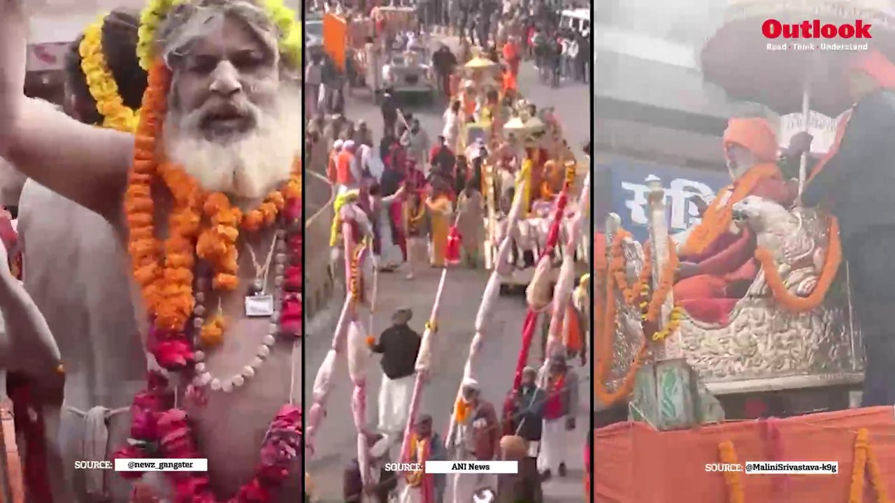 Diving into the Maha Kumbh: Naga Sadhus, Kinnar...