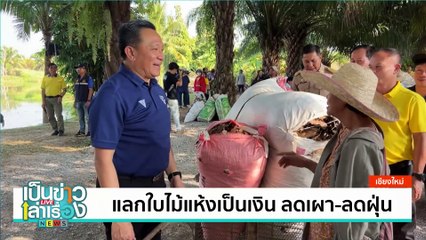 แลกใบไม้แห้งเป็นเงิน ลดเผา-ลดฝุ่น | เป็นข่าวเล่าเรื่อง | 22 ม.ค. 68  | PART 1