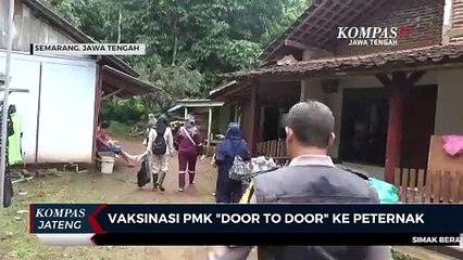Vaksinasi PMK Door to Door ke Peternak
