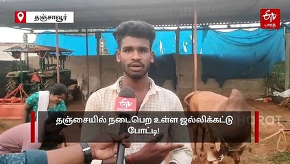 தஞ்சாவூர் ஜல்லிக்கட்டு போட்டி: களம் காண விறுவிறுப்பாக தயாராகும் காளைகள்!