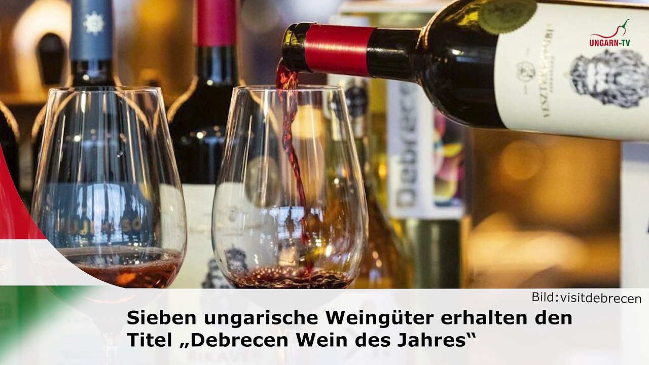 hallo ungarn - Kurznachrichten am 22.01.2025