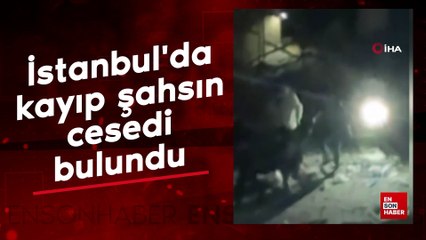 İstanbul'da kayıp şahsın cesedi bulundu