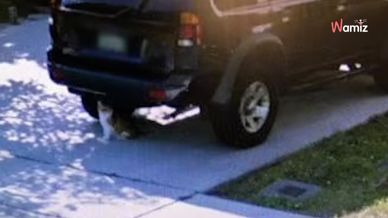 Elle regarde Google Maps à l'adresse de sa maison d'enfance et découvre des images qui vont lui briser le coeur