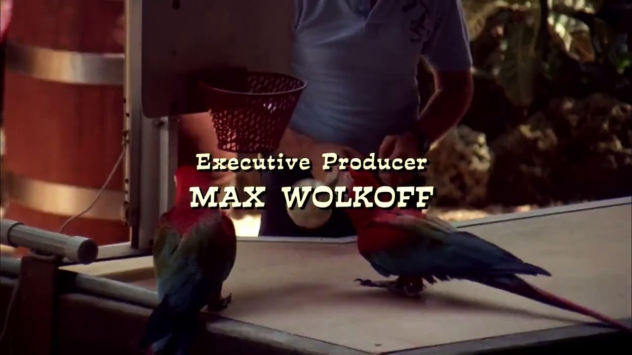 Die Miami Cops kostenlos anschauen