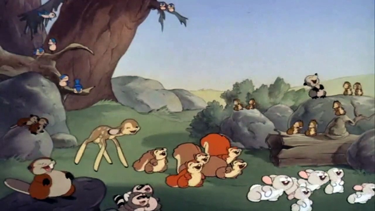 Donald Duck Cartoons 28 - Donald's Camera 1941 | When Donald Duck wants to became a wildlife photographer