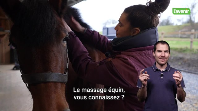 La minute locale : Emeline, masseuse pour chevaux