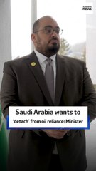 Saudi Arabia wants to ‘detach’ from oil reliance: Minister
