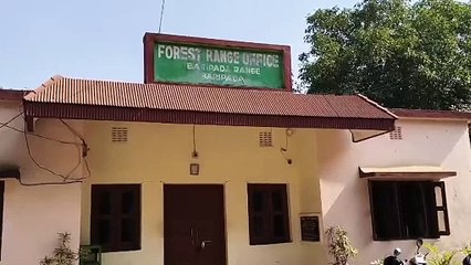 ରାଜ୍ୟ ବାହାରକୁ ଚାଲାଣ ବେଳେ ୨ ହାତୀ ଦାନ୍ତ ଜବତ   ୪ଜଣ ଗିରଫ, ଆନ୍ତଃରାଜ୍ୟ ଅପରାଧୀ ସାମିଲ