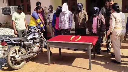 ରାଜ୍ୟ ବାହାରକୁ ଚାଲାଣ ବେଳେ ୨ ହାତୀ ଦାନ୍ତ ଜବତ   ୪ଜଣ ଗିରଫ, ଆନ୍ତଃରାଜ୍ୟ ଅପରାଧୀ ସାମିଲ