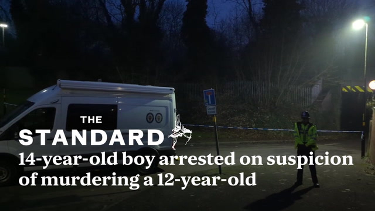 Boy, 14, arrested on suspicion of murder after 12-year-old stabbed to death