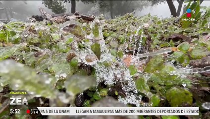 El frente frío número 24 mantendrá una onda gélida en estados del norte y noreste