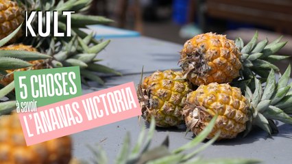 5 choses à savoir sur l’ananas Victoria