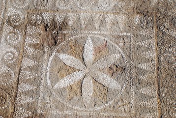 Dünyadaki nadir örneklerden! Anadolu'da ilk defa rastlandı