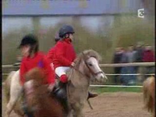 Horse ball Nantes-Grandchamp