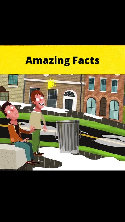 Fact video