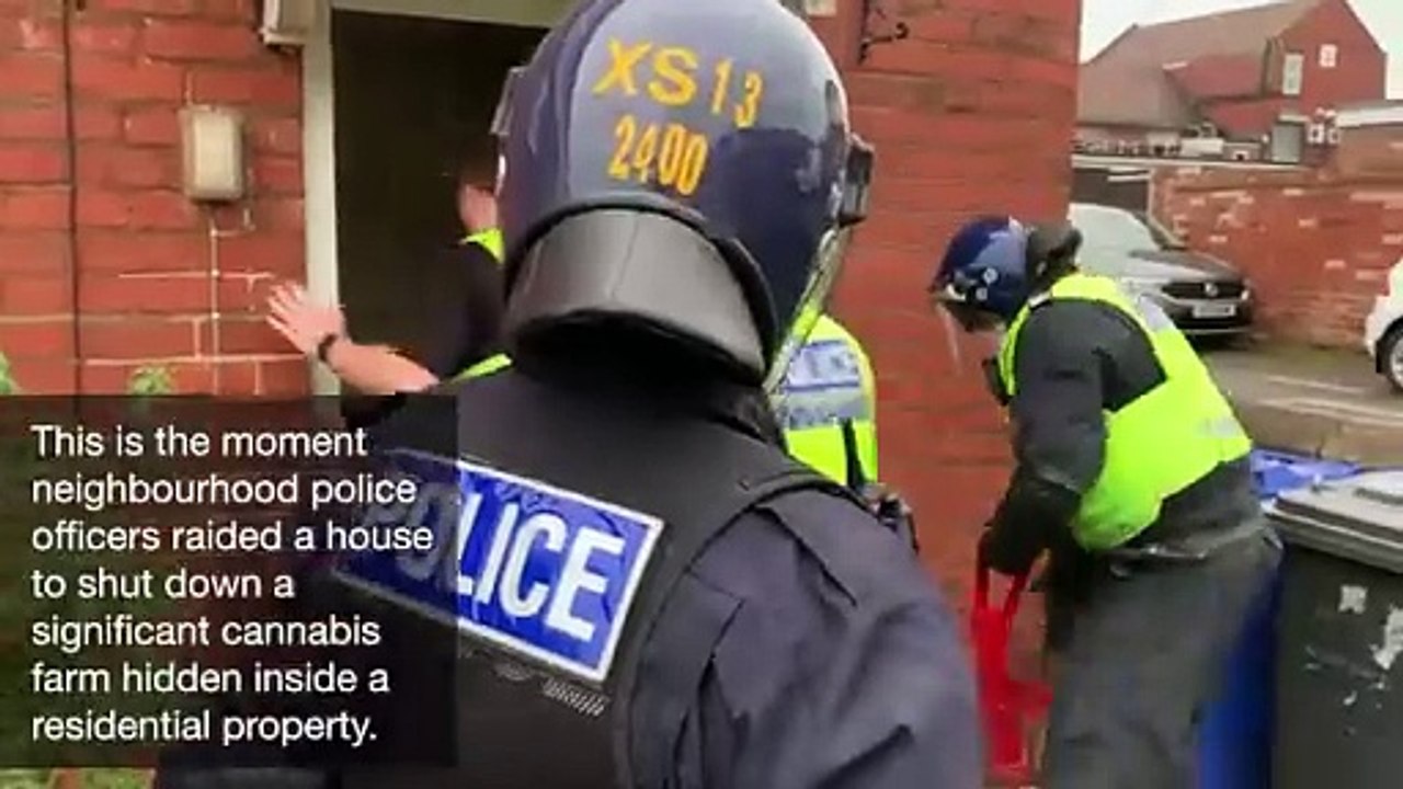 Highfields drugs warrant - Tuesday January 21,...