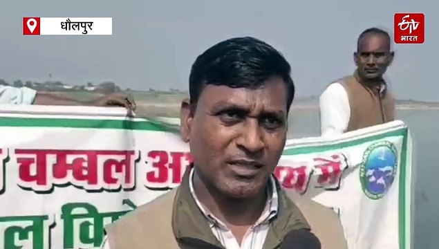 चंबल को गुलजार करेंगे घड़ियाल, बत्तीस शावक चंबल नदी में किये रिलीज, 13 जनवरी को छोड़े गए थे 25 घड़ियाल शावक, घड़ियाल प्रजाति का बढ़ रहा कुनबा, 2512 हुई संख्या, जलीय जीव प्रेमियों में खुशी की लहर