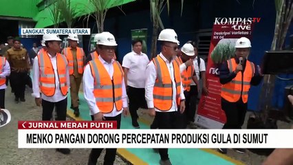 Menko Pangan Zulhas dan Mendag Budi Santoso Tinjau Kebun dan Pabrik Gula di Sumut