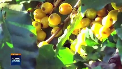 Giro Brasil: Embaixador André Correia do Lago presidirá a COP30