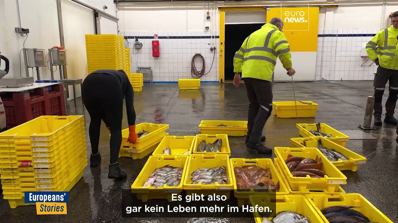 Delfinschutz und Lebensunterhalt der Fischer am Golf von Biskaya: ein schwieriges Gleichgewicht