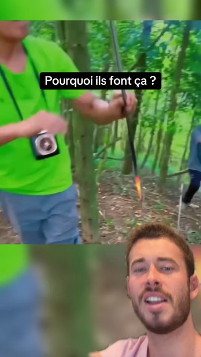 Pourquoi ils font ca ?
